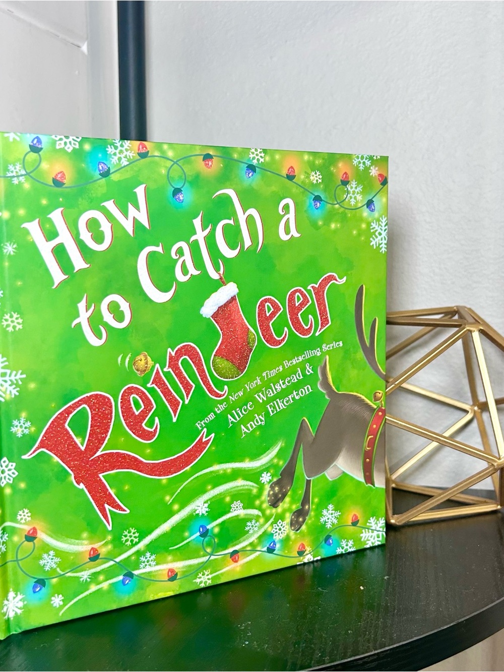 How to Catch a Reindeer - Bright Green Children's Book